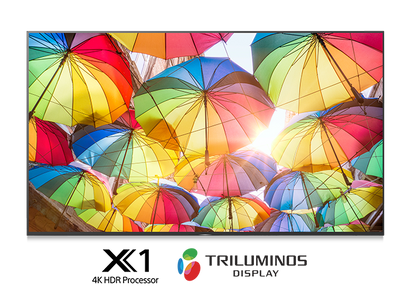 Sony BRAVIA BZ40H Series Most Advanced 4K Ultra HD HDR Professional Displays