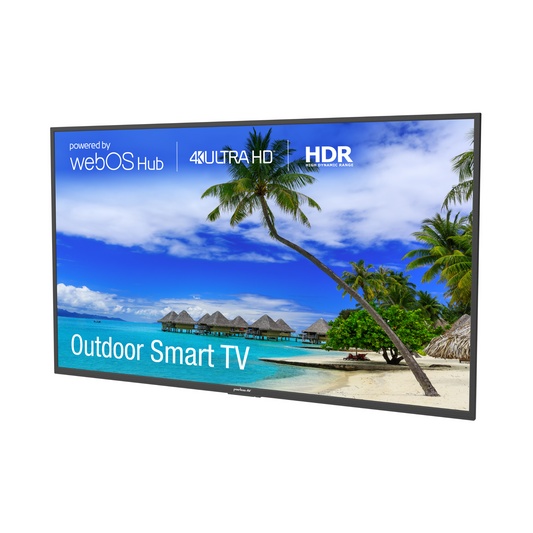 Peerless-AV 65 Inch Neptune Full Sun Outdoor Smart TV