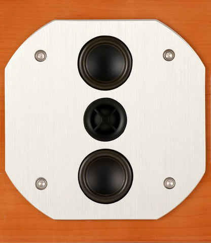 McIntosh LCR80 3-Way Center-Cannel Speaker