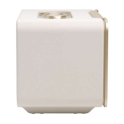 JBL Authentics 200 Wireless Home Speaker with WiFi and Bluetooth